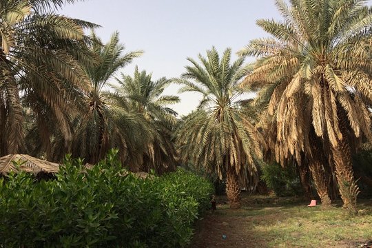 Tour image 10