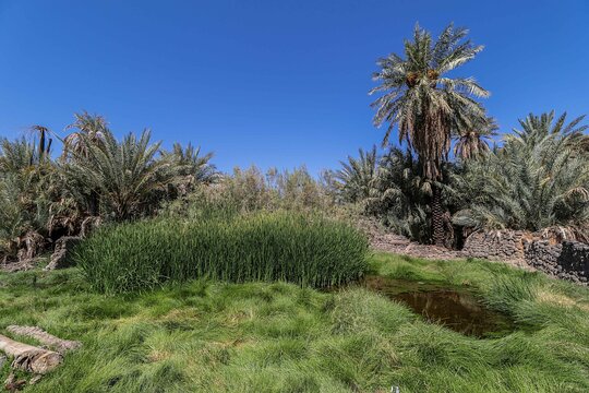 صورة الجولة 3