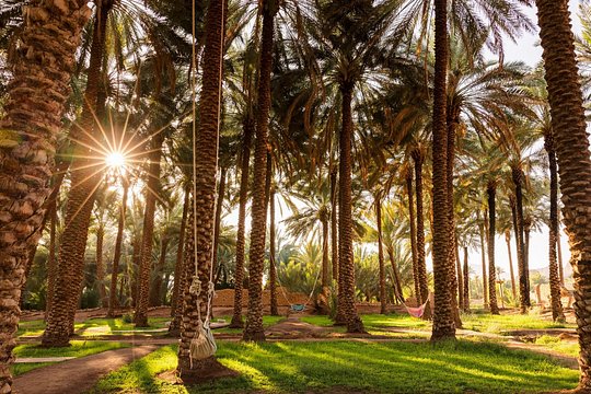 صورة الجولة 6